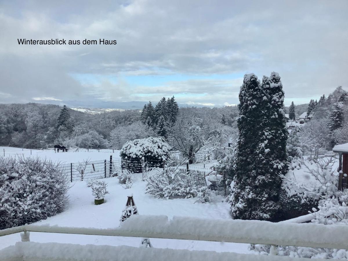 Wohlfuehloase Am Michelsberg Daire Bad Muenstereifel Dış mekan fotoğraf