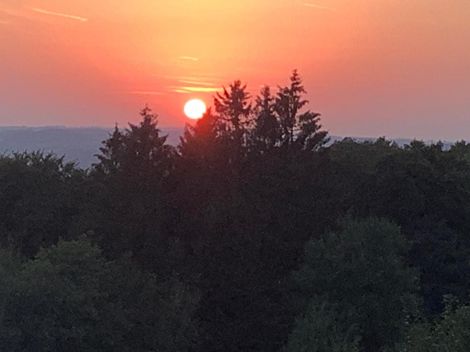 Wohlfuehloase Am Michelsberg Daire Bad Muenstereifel Dış mekan fotoğraf