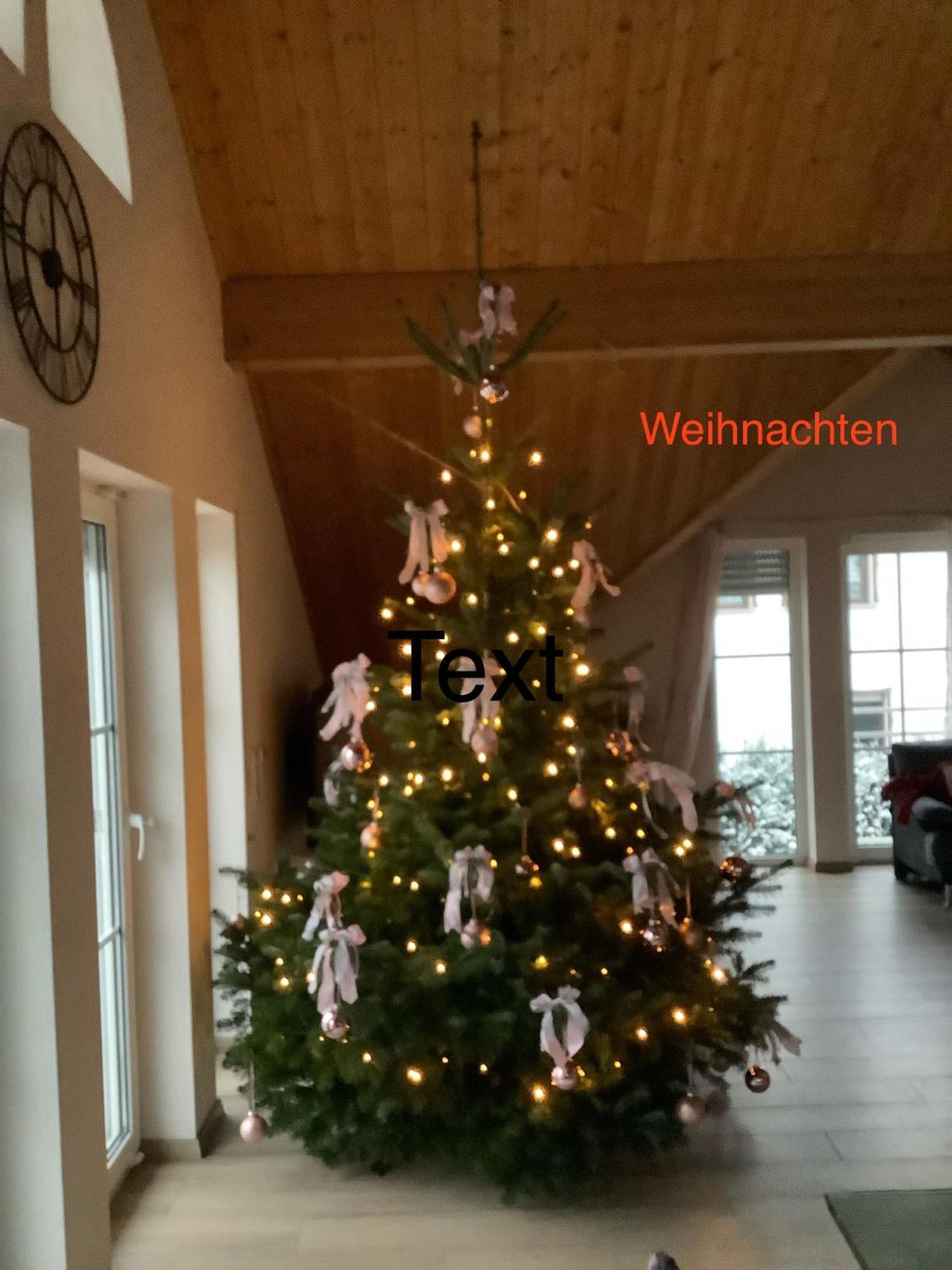 Wohlfuehloase Am Michelsberg Daire Bad Muenstereifel Dış mekan fotoğraf